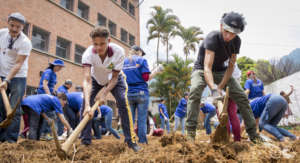 Creating school gardens