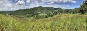 New land views & future training hall site