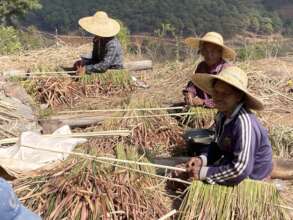 Making our own thatch roof