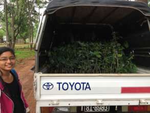 Getting trees to take back for planting at farm