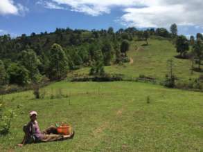 Taking a break-beautiful day from tree planting