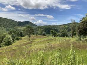 Beautiful views into southern valley from new land