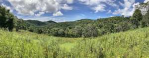 Site of future training hall and all the views