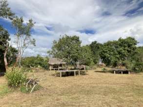 Fresh cut grass around temporary kitchen area