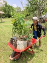 First set of new fruit trees for the year ready!!!