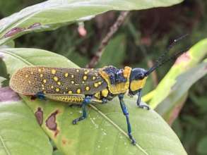 Some beautiful critters at the farm
