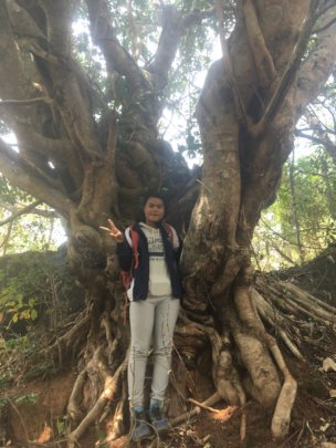 Another amazing tree hidden gem