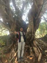 Another amazing tree hidden gem