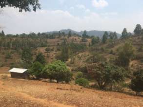 The view from new road headed into land