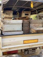 Bee boxes headed to the farm!