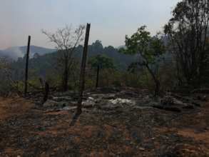 Frame of first bamboo house burned down