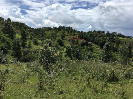 The road coming into farm from main village area