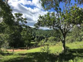 We have already started planting natural fencing