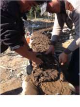 Learning to make cob!