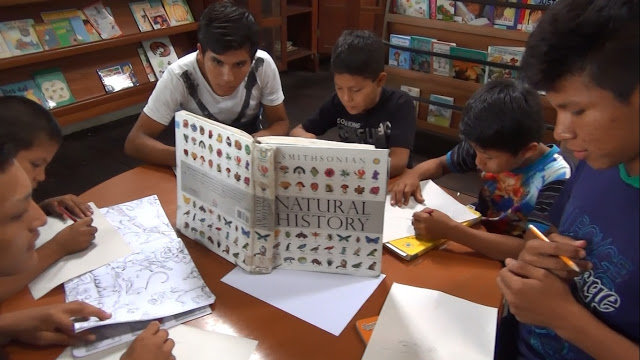Music Classes in the Amazon for 30 Students