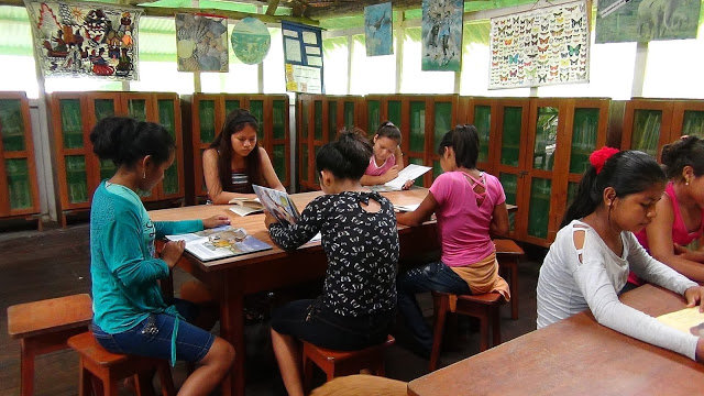 Music Classes in the Amazon for 30 Students