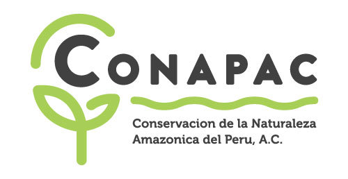 Music Classes in the Amazon for 30 Students