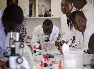 Enjoying their first experience of Microscope work