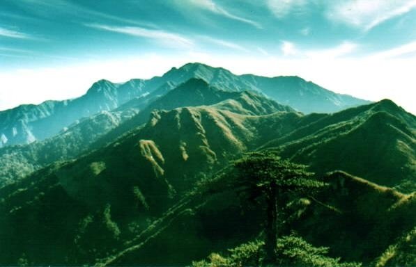 Preserving Primates in China