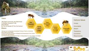 Our Vision