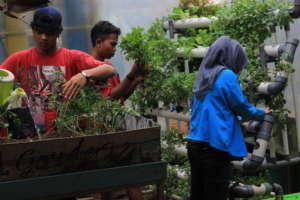 Gardening team and their hydroponic garden