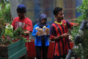 Gardening team tend their garden