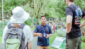 Dery 2