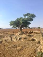 Meeting place for USAP Family visit:Rural Chiweshe