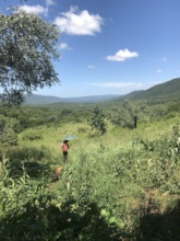 Trekking through the bush to a remote homestead