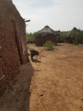 A rural homestead