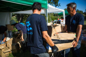 Staff working together with local NGOs
