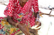 Feed 32 starving neglected elderly women