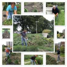 Gardening