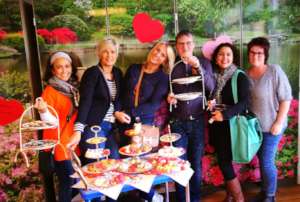Team of volunteers