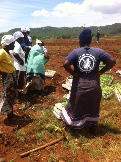 Empower 100 Less Privileged Women in Zimbabwe