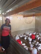 Poultry beneficiary