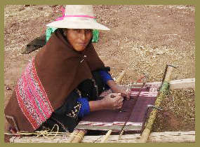 Bolivian weaver