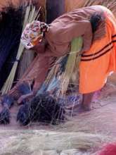 Collecting grass fiber in Swaziland