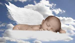 Our Lost Angels ~ Soar Into Forever Homes