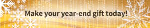 2016 Year End Tax Campaign