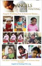 Angels Waiting For Forever Homes In Los Angeles