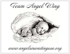 Team Angel Wing