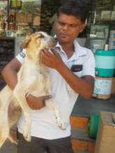 We practice humane handling for all ailing animals