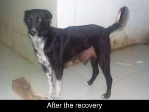 Result: after Surgery