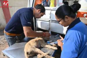 parvo treatment in our mobile clinic van