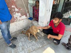 Balu is with his local caregiver family