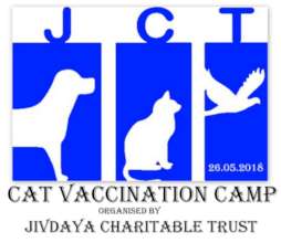 Cat Vaccination camp at Cat Garden, Gandhidham