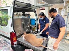 Treatment Van reached the location