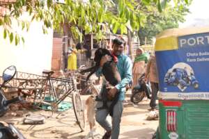 The dog rescued by an Auto Rickshaw driver
