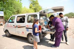 Our team provided the cat with necessary treatment